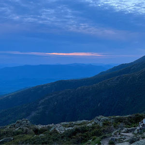 Meet your Posher, Maggie